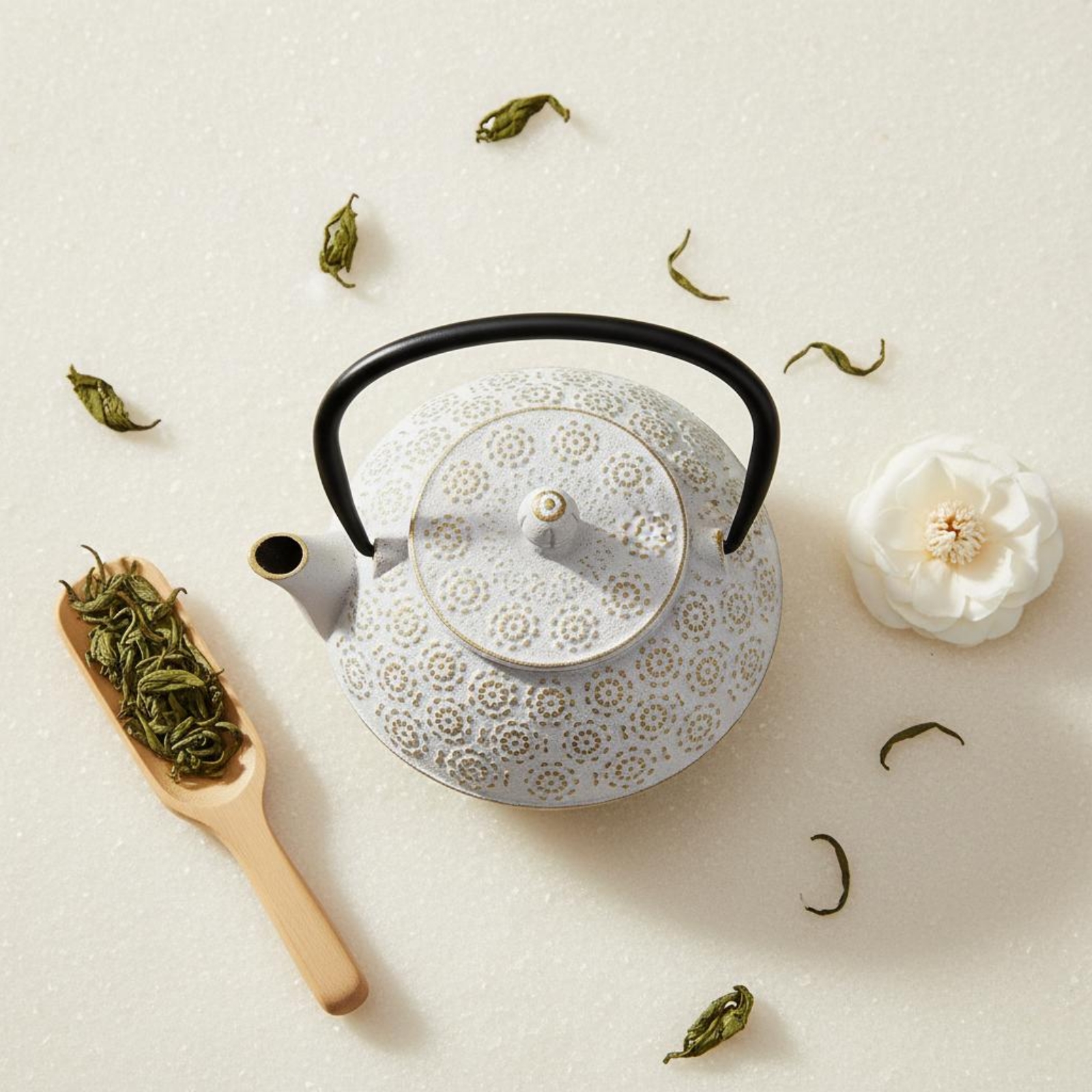Teiera in ghisa maculata con c - Cast Iron Tetsubin recensione e prezzo