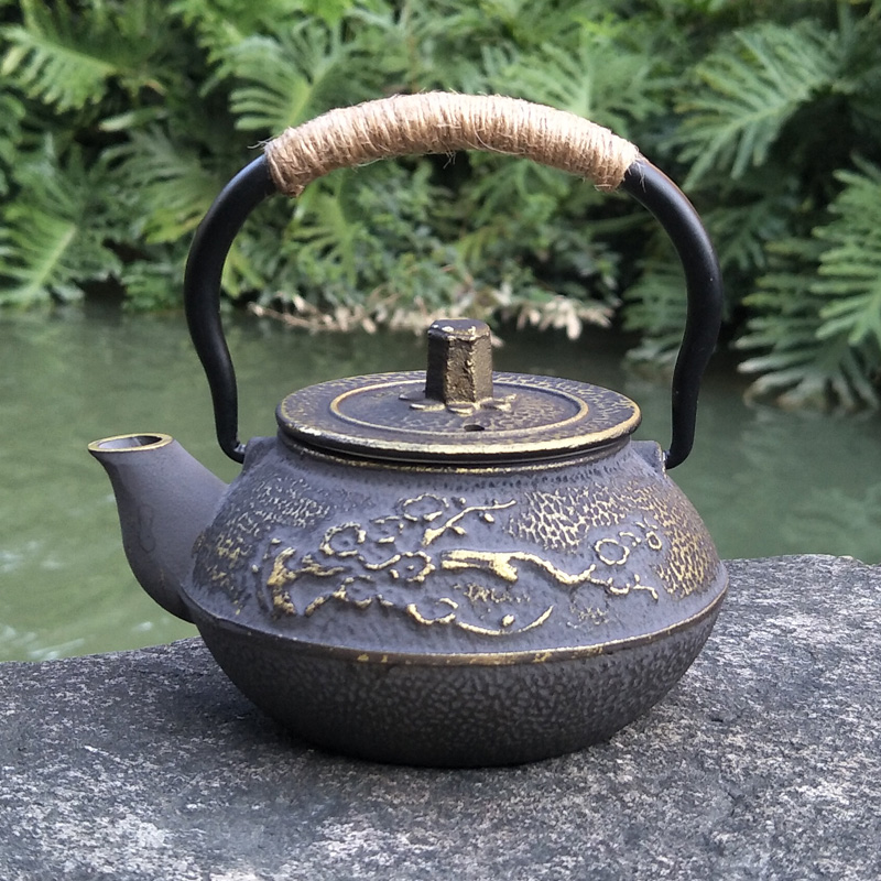 Teiera In ghisa Giapponese Tet - Cast Iron Tetsubin recensione e prezzo